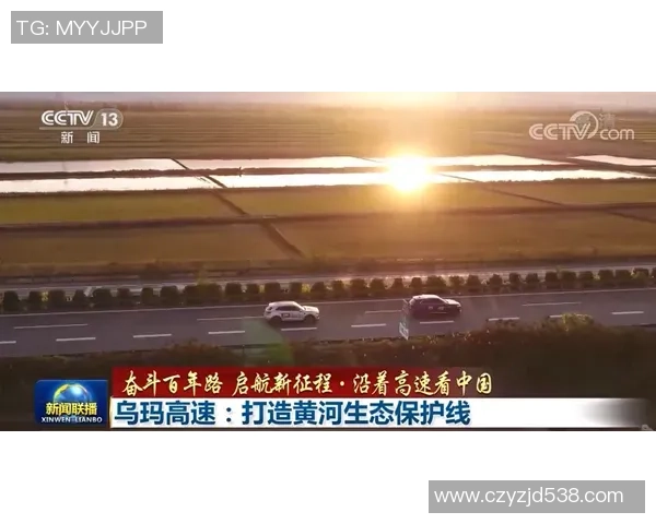 滑板梦想启航：见证杭州滑板队勇闯巅峰的奋斗历程